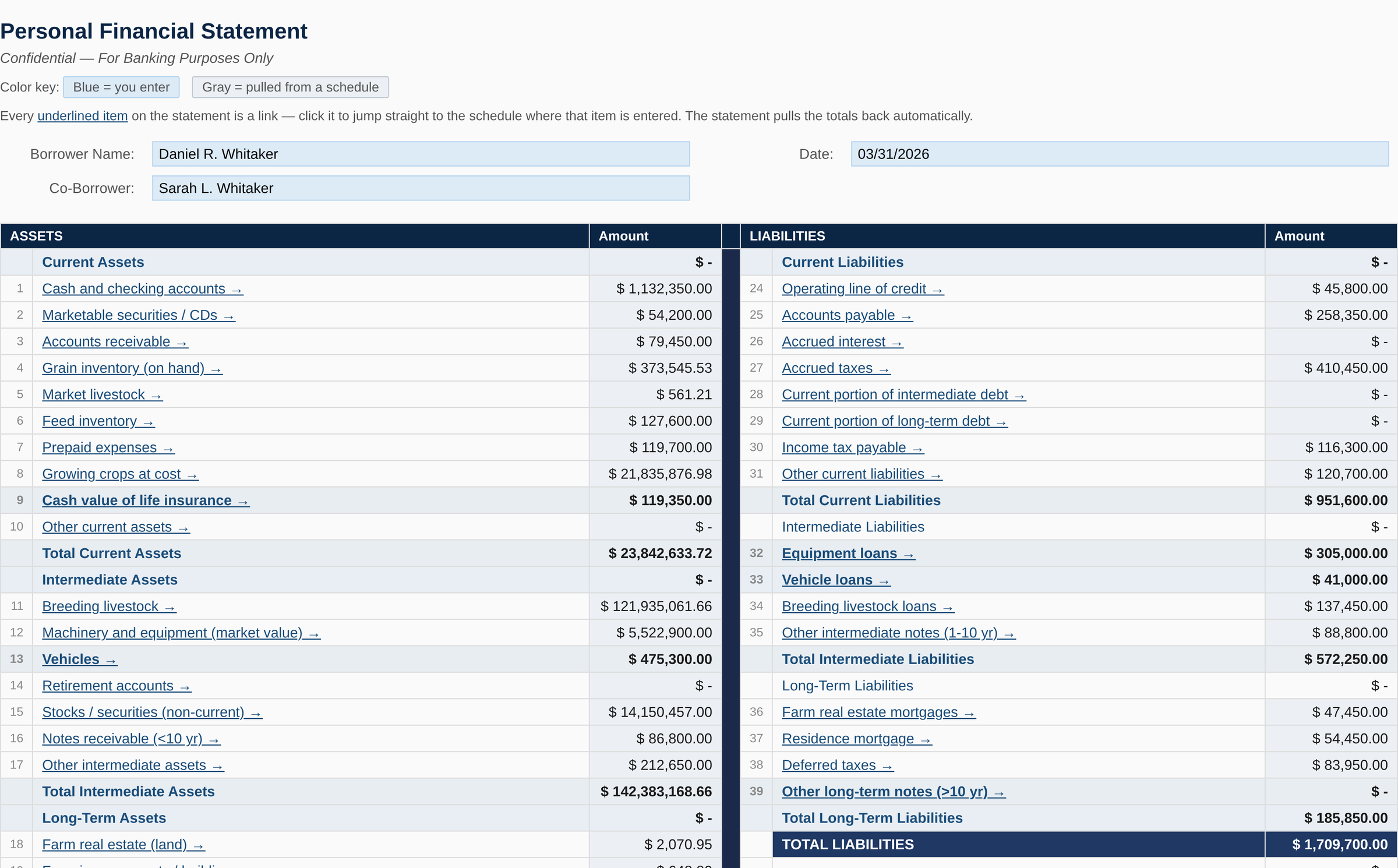 Agricultural personal financial statement template completed by a borrower