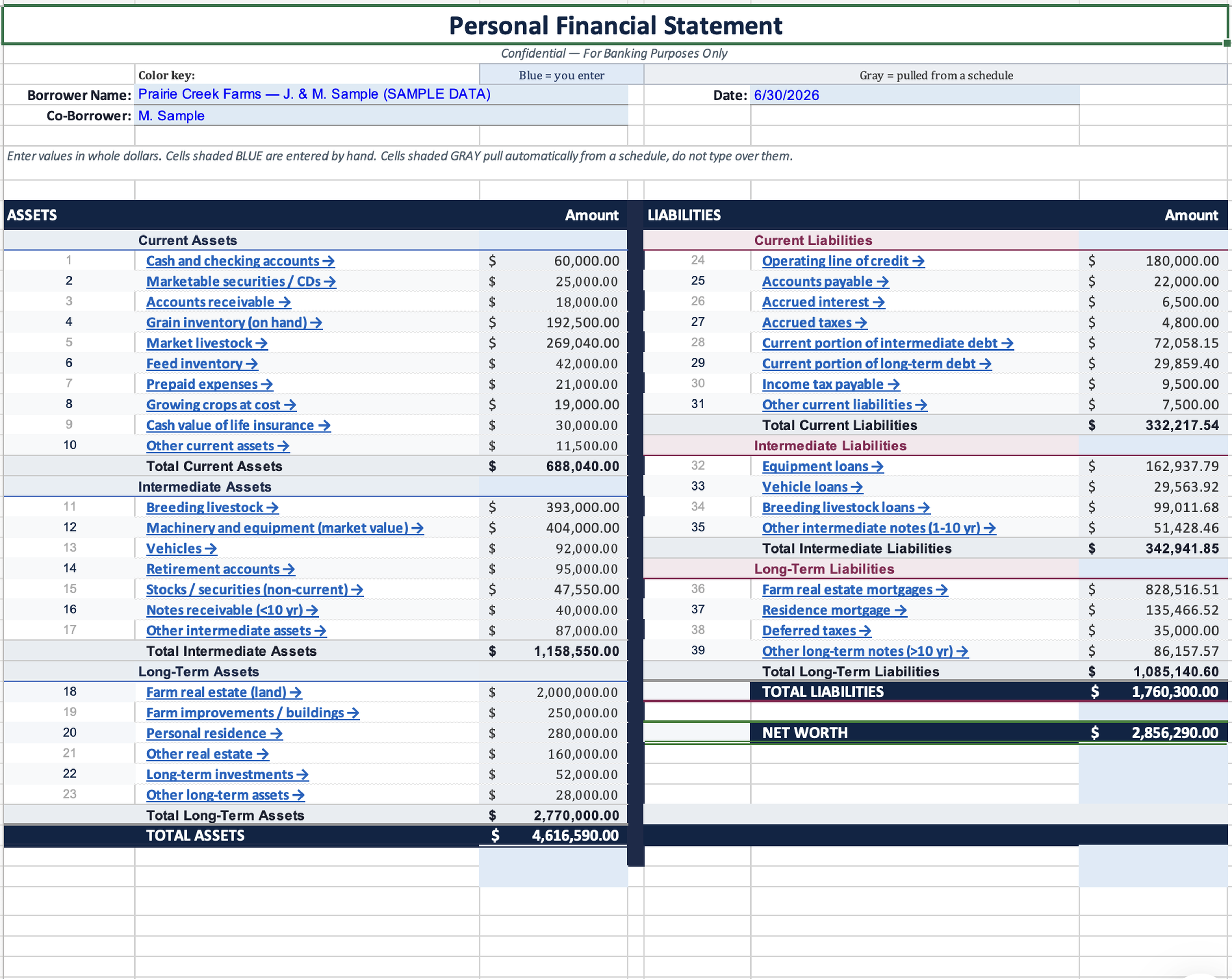 Personal financial statement spread listing assets, liabilities, and net worth