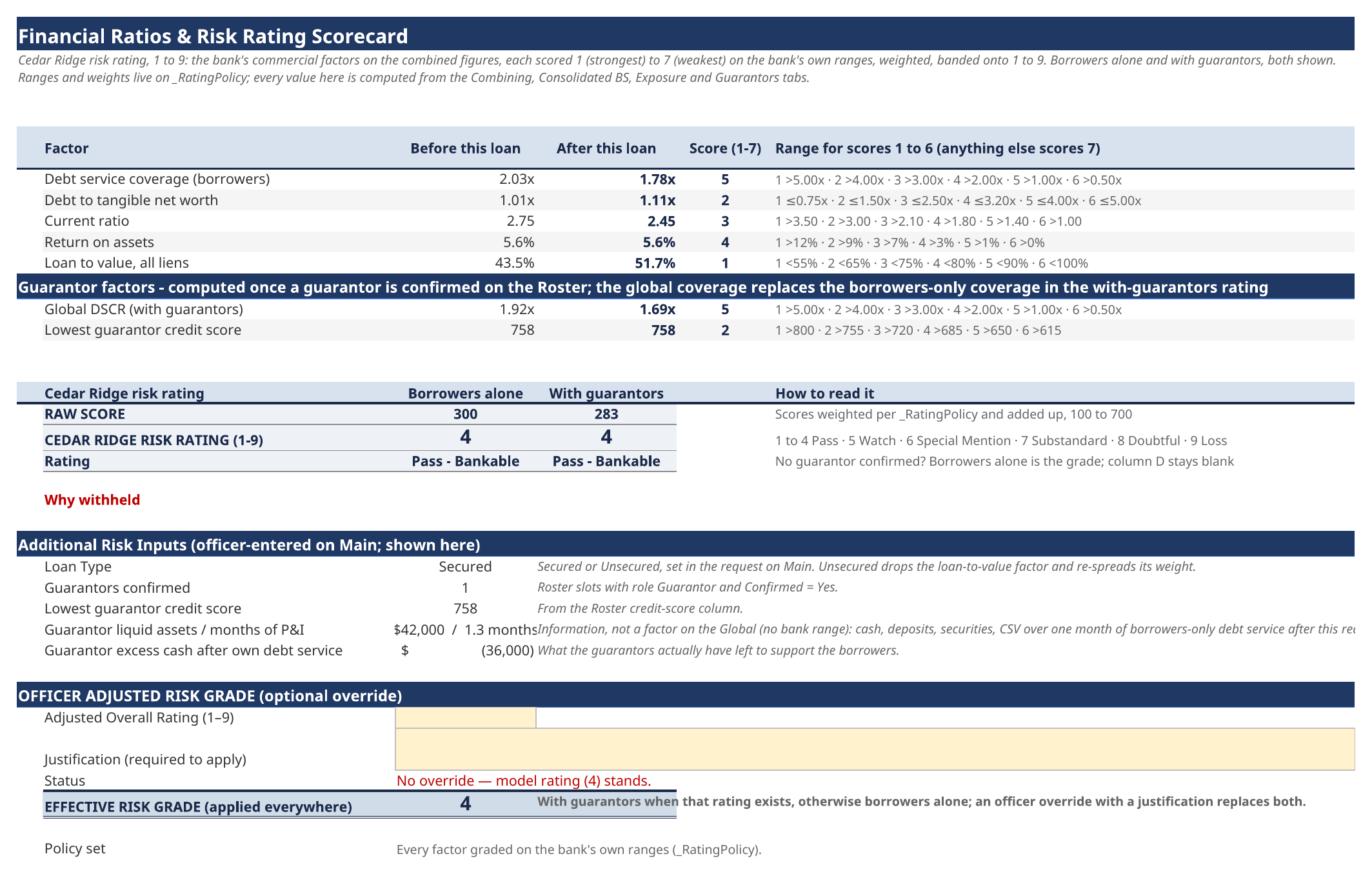 Consolidated ratio and risk grade page for a global relationship